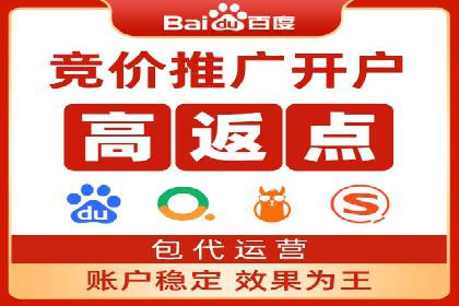 某电商平台SEM竞价广告的转化率提升案例